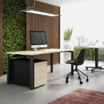 OKA_R60_Q50_Szene01_neu_View01_P